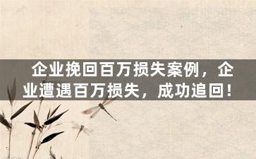企业挽回百万损失案例，企业遭遇百万损失，成功追回！