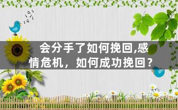 会分手了如何挽回,感情危机，如何成功挽回？