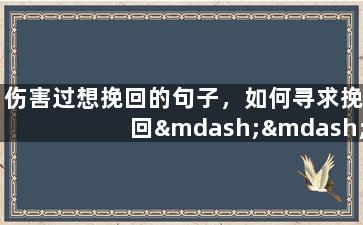 伤害过想挽回的句子，如何寻求挽回——处理受伤的关系
