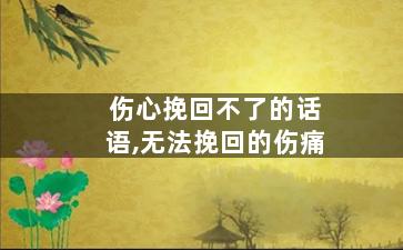 伤心挽回不了的话语,无法挽回的伤痛