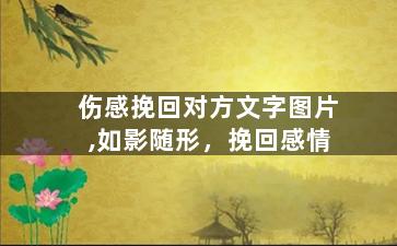 伤感挽回对方文字图片,如影随形，挽回感情