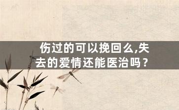 伤过的可以挽回么,失去的爱情还能医治吗？