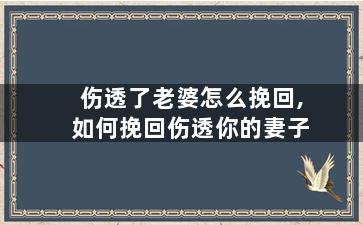 伤透了老婆怎么挽回,如何挽回伤透你的妻子