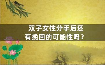 双子女性分手后还有挽回的可能性吗？