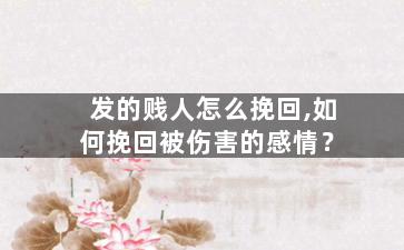发的贱人怎么挽回,如何挽回被伤害的感情？