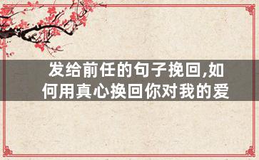 发给前任的句子挽回,如何用真心换回你对我的爱