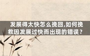 发展得太快怎么挽回,如何挽救因发展过快而出现的错误？