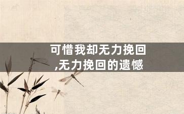 可惜我却无力挽回,无力挽回的遗憾