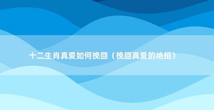 十二生肖真爱如何挽回（挽回真爱的绝招）