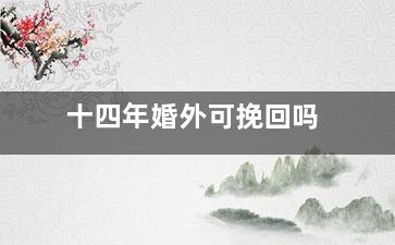 十四年婚外可挽回吗