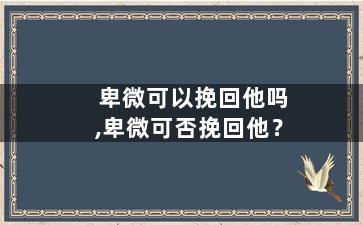 卑微可以挽回他吗,卑微可否挽回他？