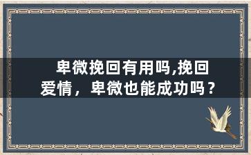卑微挽回有用吗,挽回爱情，卑微也能成功吗？