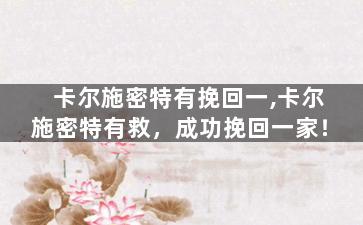 卡尔施密特有挽回一,卡尔施密特有救，成功挽回一家！