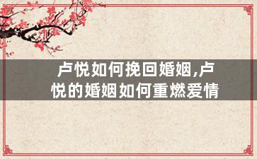 卢悦如何挽回婚姻,卢悦的婚姻如何重燃爱情