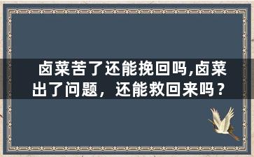 卤菜苦了还能挽回吗,卤菜出了问题，还能救回来吗？