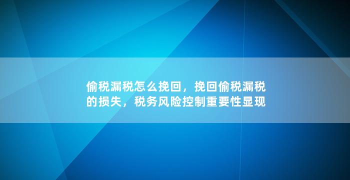 偷税漏税怎么挽回，挽回偷税漏税的损失，税务风险控制重要性显现