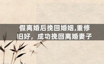 假离婚后挽回婚姻,重修旧好，成功挽回离婚妻子