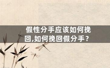 假性分手应该如何挽回,如何挽回假分手？