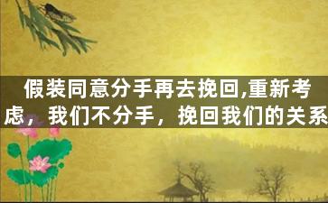 假装同意分手再去挽回,重新考虑，我们不分手，挽回我们的关系