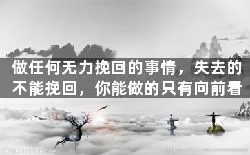 做任何无力挽回的事情，失去的不能挽回，你能做的只有向前看