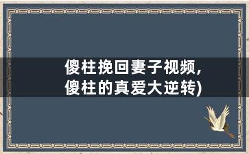 傻柱挽回妻子视频,傻柱的真爱大逆转)