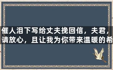 催人泪下写给丈夫挽回信，夫君，请放心，且让我为你带来温暖的希望