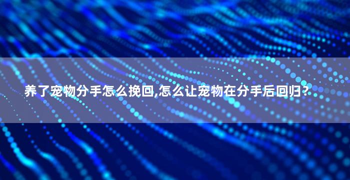 养了宠物分手怎么挽回,怎么让宠物在分手后回归？