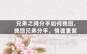 兄弟之间分手如何挽回,挽回兄弟分手，情谊重聚