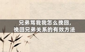 兄弟骂我我怎么挽回,挽回兄弟关系的有效方法