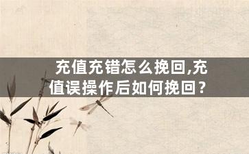 充值充错怎么挽回,充值误操作后如何挽回？