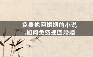 免费挽回婚姻的小说,如何免费挽回婚姻