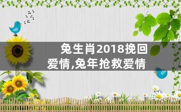 兔生肖2018挽回爱情,兔年抢救爱情