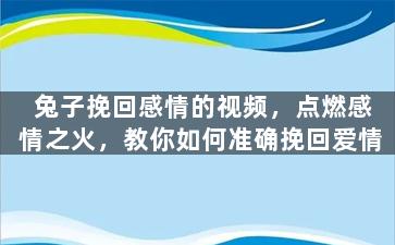 兔子挽回感情的视频，点燃感情之火，教你如何准确挽回爱情