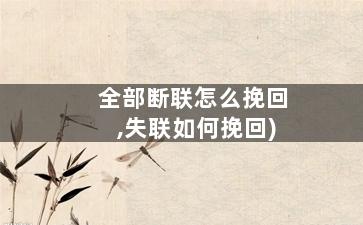 全部断联怎么挽回,失联如何挽回)