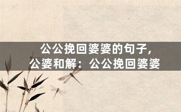 公公挽回婆婆的句子,公婆和解：公公挽回婆婆