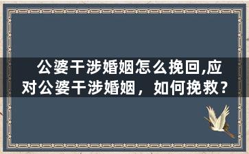 公婆干涉婚姻怎么挽回,应对公婆干涉婚姻，如何挽救？