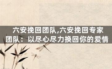 六安挽回团队,六安挽回专家团队：以尽心尽力换回你的爱情