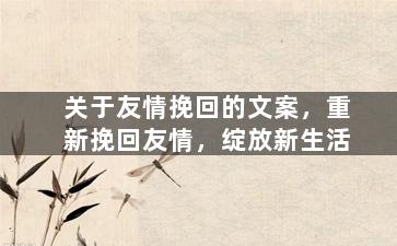 关于友情挽回的文案，重新挽回友情，绽放新生活
