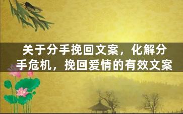 关于分手挽回文案，化解分手危机，挽回爱情的有效文案
