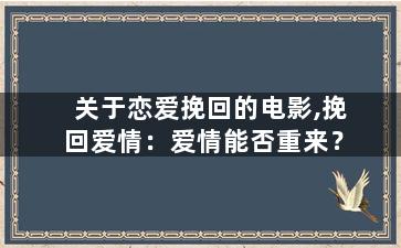 关于恋爱挽回的电影,挽回爱情：爱情能否重来？
