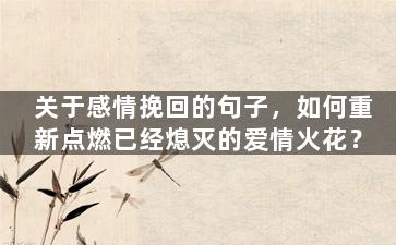 关于感情挽回的句子，如何重新点燃已经熄灭的爱情火花？