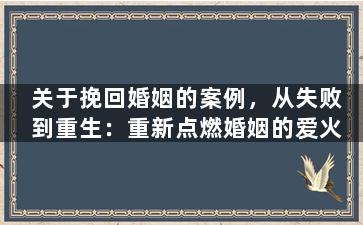 关于挽回婚姻的案例，从失败到重生：重新点燃婚姻的爱火