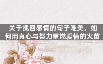 关于挽回感情的句子唯美，如何用真心与努力重燃爱情的火苗