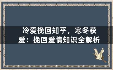 冷爱挽回知乎，寒冬获爱：挽回爱情知识全解析