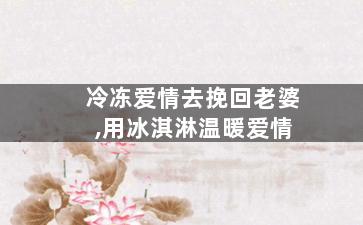 冷冻爱情去挽回老婆,用冰淇淋温暖爱情