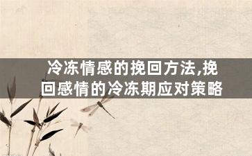 冷冻情感的挽回方法,挽回感情的冷冻期应对策略