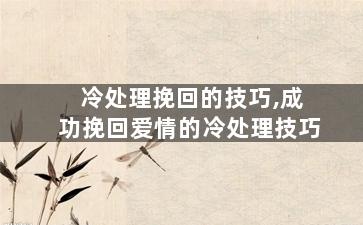 冷处理挽回的技巧,成功挽回爱情的冷处理技巧