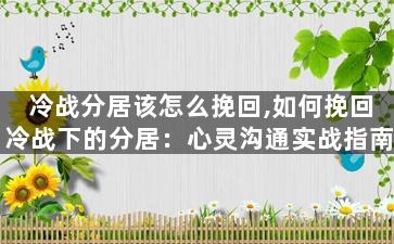 冷战分居该怎么挽回,如何挽回冷战下的分居：心灵沟通实战指南
