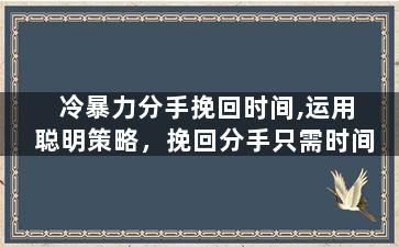 冷暴力分手挽回时间,运用聪明策略，挽回分手只需时间
