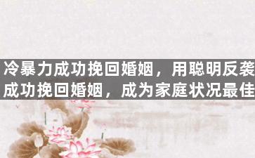 冷暴力成功挽回婚姻，用聪明反袭成功挽回婚姻，成为家庭状况最佳的方法。